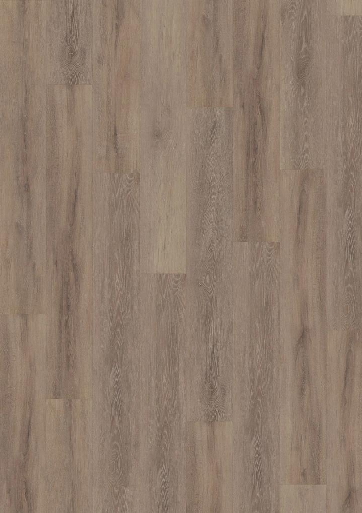 Oneflor Vinylová podlaha lepená ECO 55 065 Cerused Oak Dark Natural - Lepená podlaha