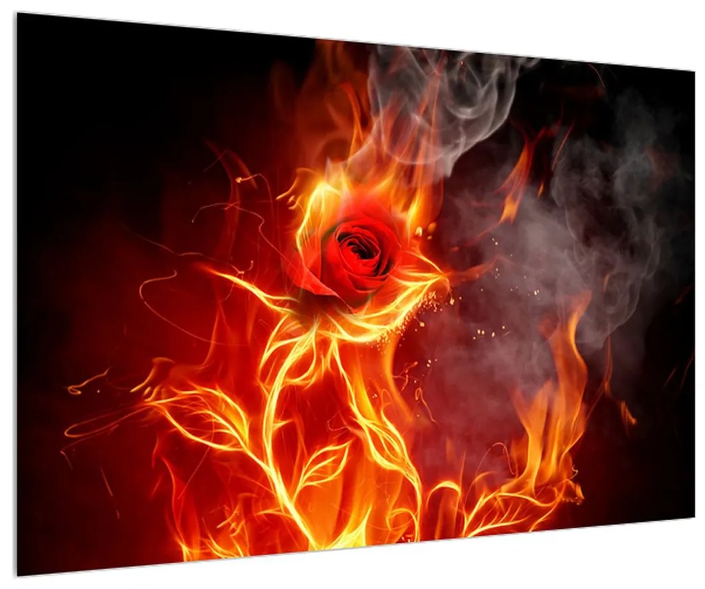 Obraz ruže v ohni (90x60 cm)