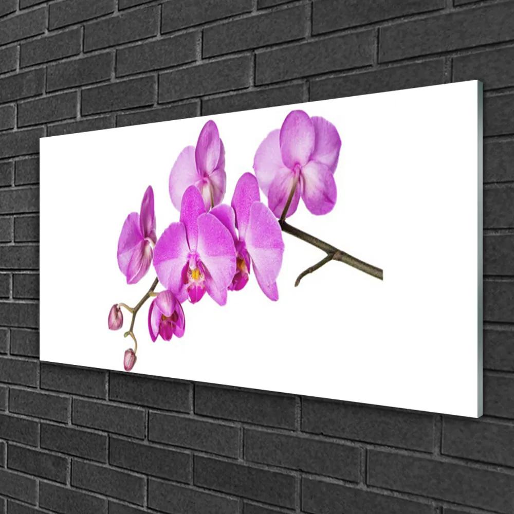Skleneny obraz Vstavač orchidea kvety 125x50 cm