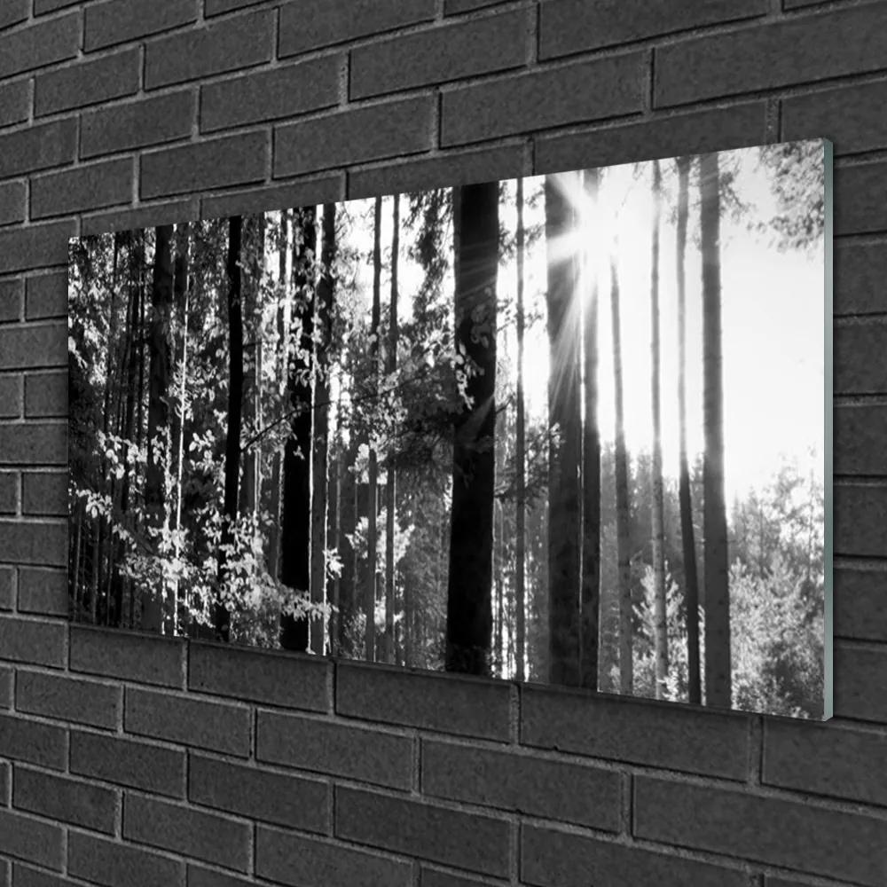 Obraz na skle Les príroda 100x50 cm