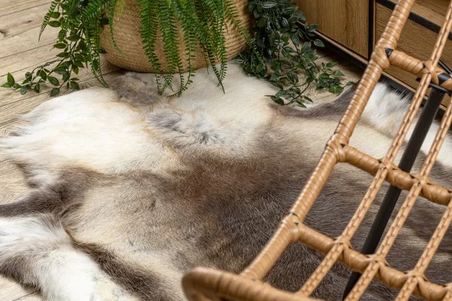 Koberec RENIFER POK008 hnedý / béžový