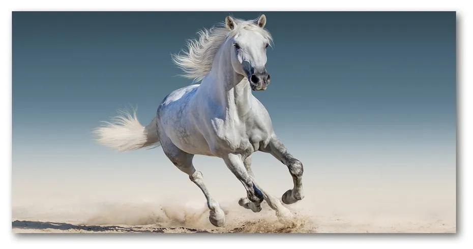 Foto obraz akrylové sklo Biely kôň v cvale pl-oa-140x70-f-95257889
