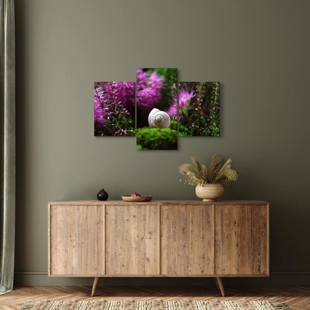 Obraz - Slimáková ulita (90x60 cm)