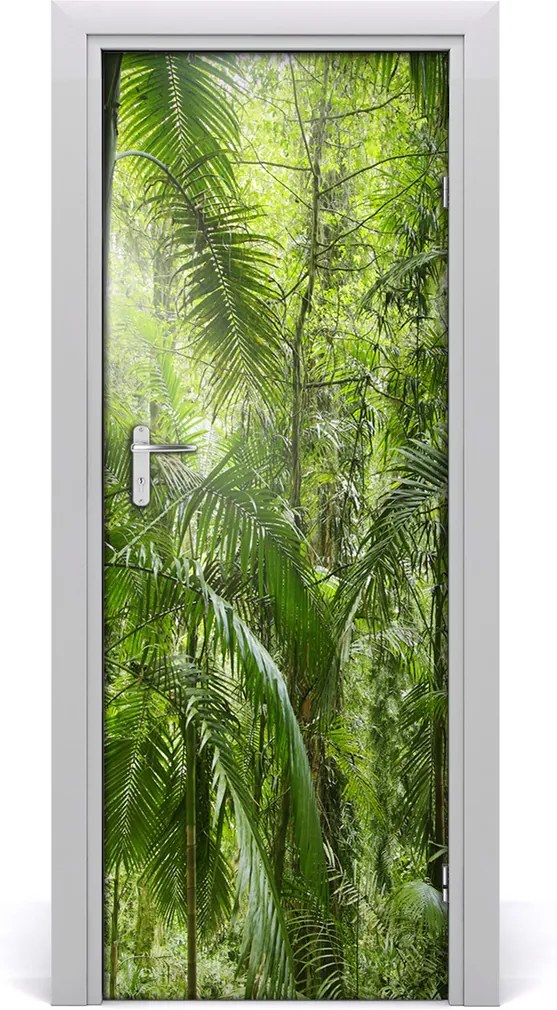 Fototapeta na dvere  dažďový les
