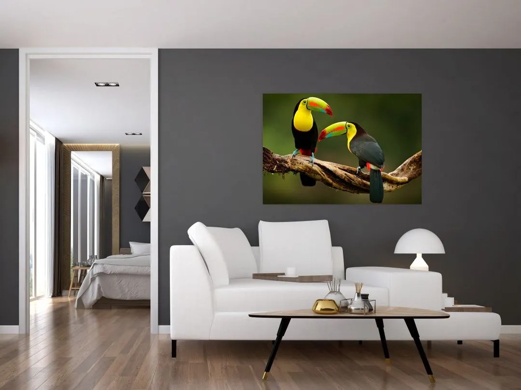Obraz - tukan