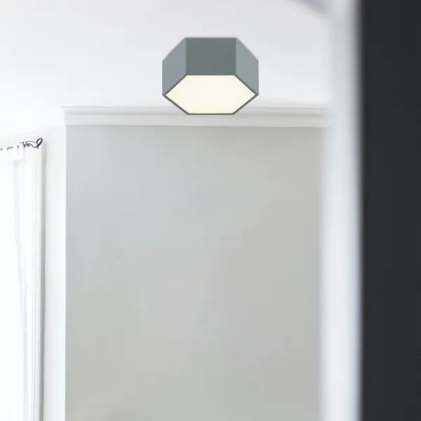 Argon 8784 - LED Stropné svietidlo LIBERO LED/12W/230V 3000K šedá