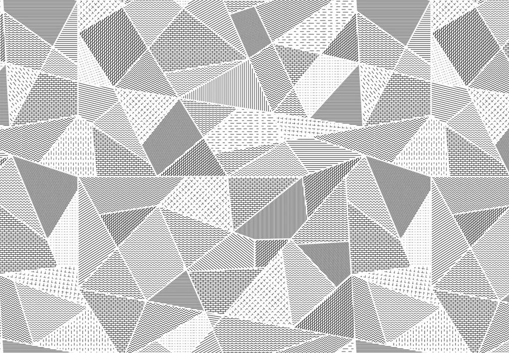 Fototapeta - Polygóny (147x102 cm)