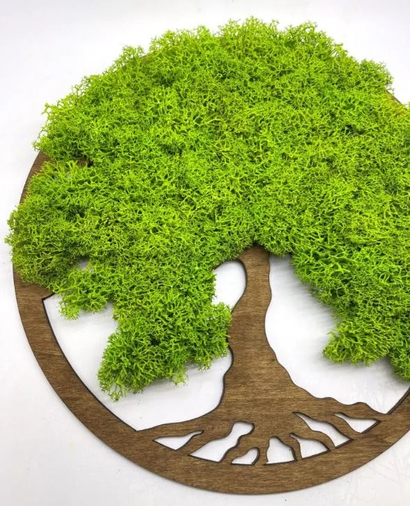 Strom na stenu z machu Gelsey 30 cm