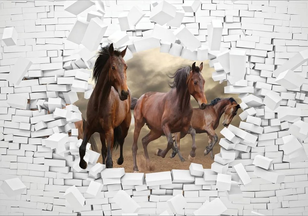 Fototapeta - 3D kone v stene (152,5x104 cm)