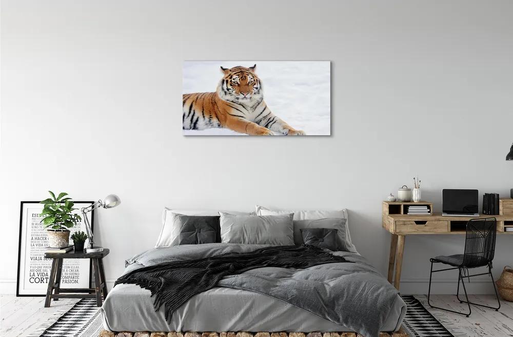 Obraz na plátne Tiger winter 140x70 cm