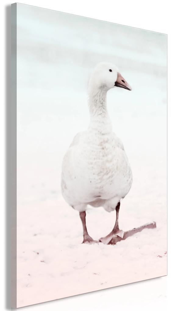 Artgeist Obraz - Winter Duck (1 Part) Vertical Veľkosť: 40x60, Verzia: Na talianskom plátne