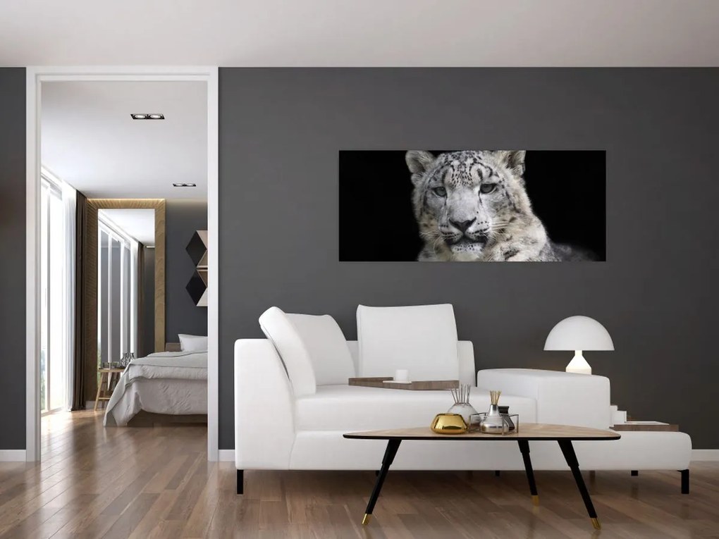 Obraz - Leopard snežný (120x50 cm)