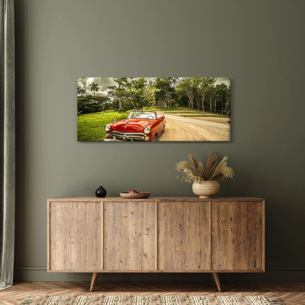 Obraz - auto veterán v prírode (120x50 cm)