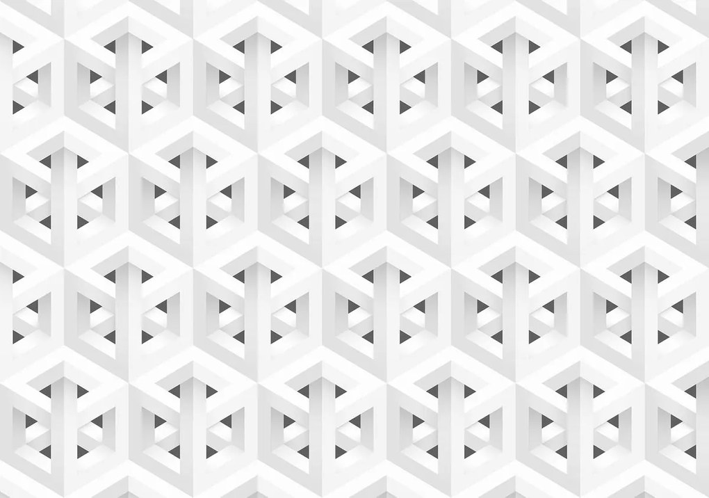 Fototapeta - Kocky (152,5x104 cm)