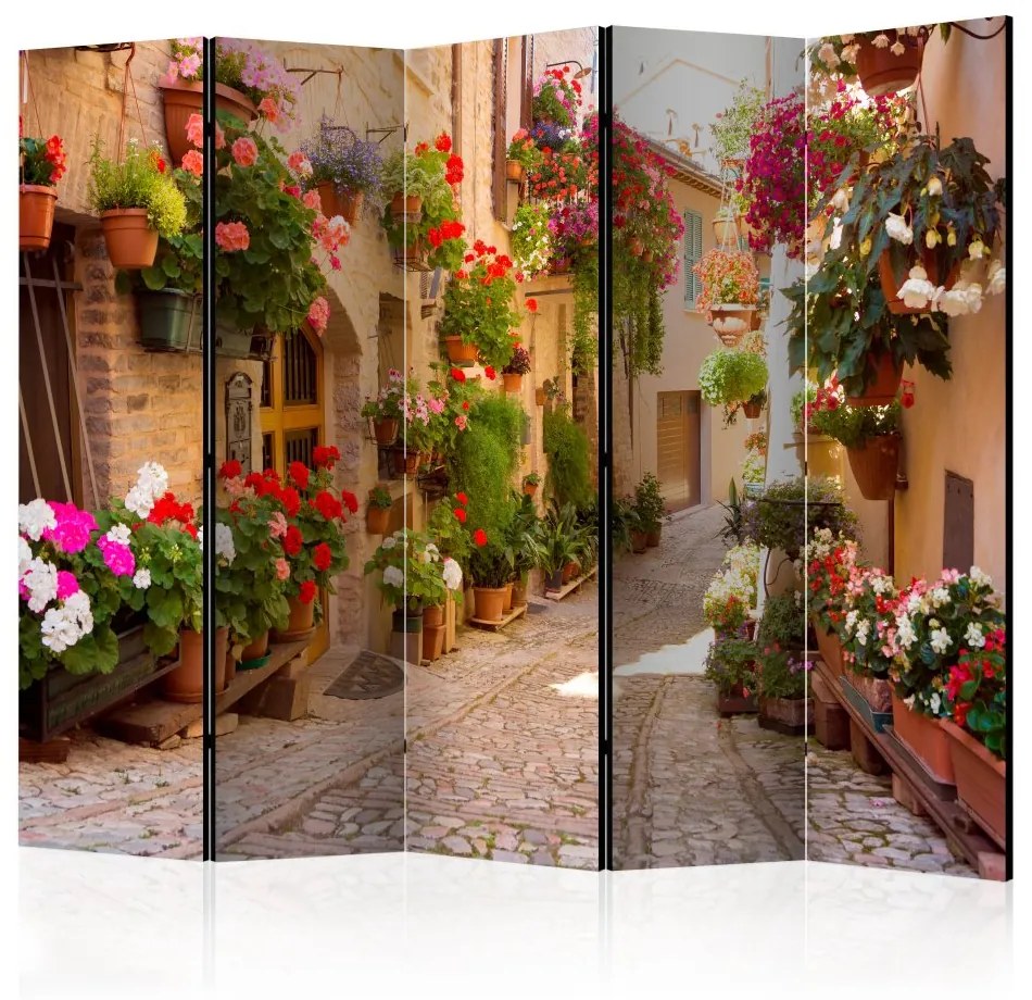 Paraván - The Alley in Spello (Italy) II [Room Dividers] 225x172