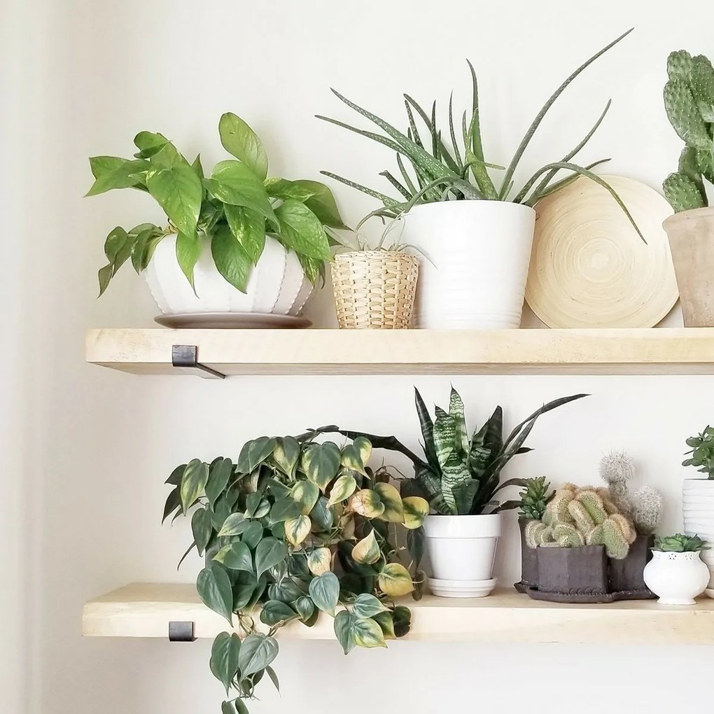 Polička Lam008 Black and Oak