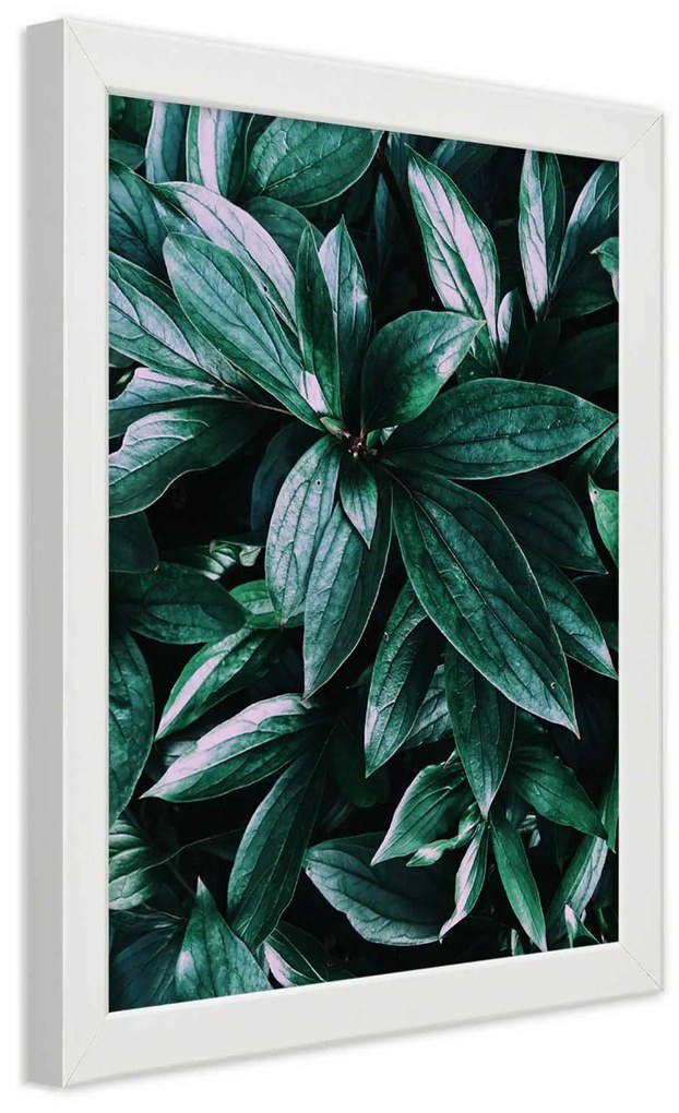 Gario Plagát Fascinujúce listy Farba rámu: Bez rámu, Rozmery: 30 x 45 cm
