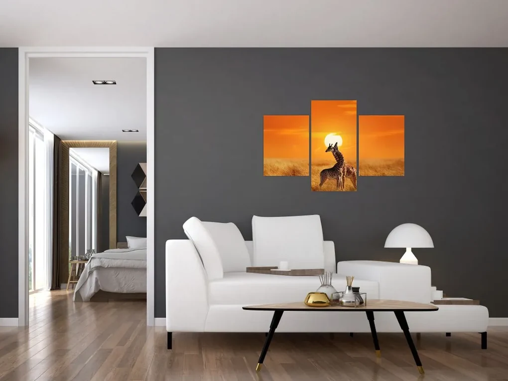 Obraz - Žirafy v národnom parku Serengeti (90x60 cm)