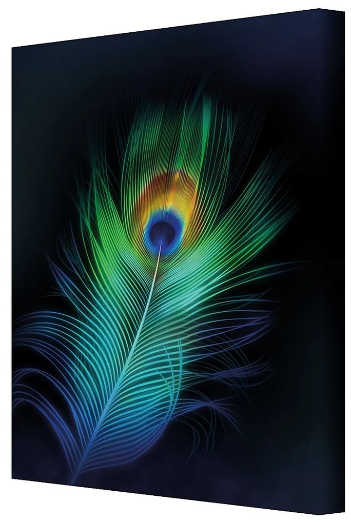 Plátno maľba Peacock Eye