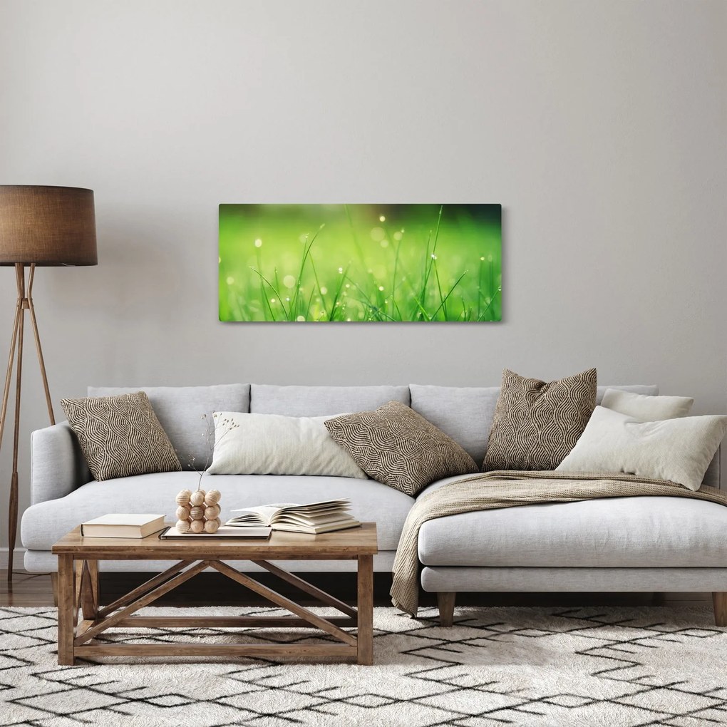 Obraz - rosa na tráve (120x50 cm)
