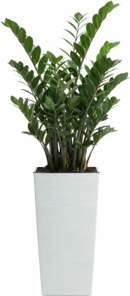 Plastový květináč Porto Riflo 46,5x24,7x24,7 cm bílý