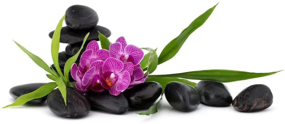 Tapeta fialová orchidea v Zen zátiší