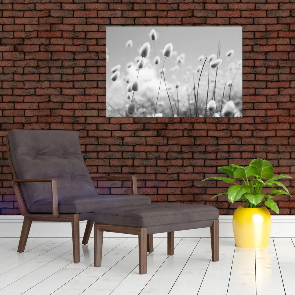 Obraz - Boho bunny tail grass (90x60 cm)
