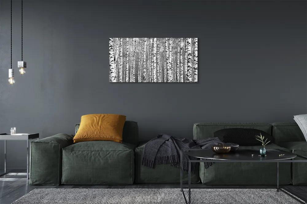 Obraz canvas Čierna a biela strom 125x50 cm