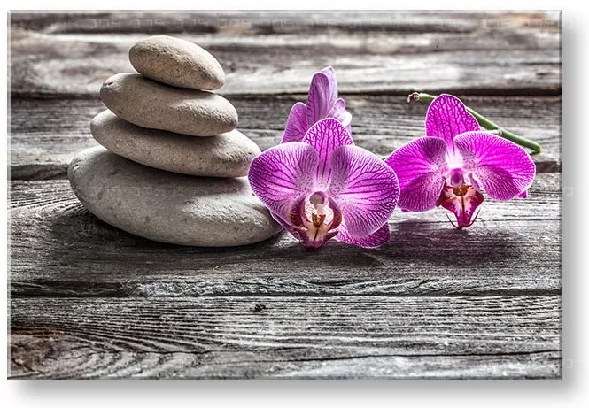 Obraz na plátne FENG SHUI_060-11 | rôzne rozmery