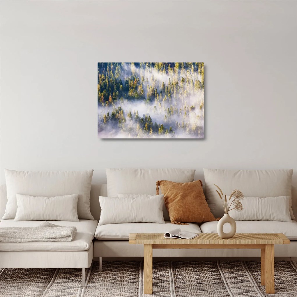 Sklenený obraz stromov v hmle (70x50 cm)
