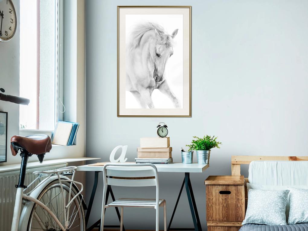 Artgeist Plagát - White Horse [Poster] Veľkosť: 40x60, Verzia: Zlatý rám s passe-partout