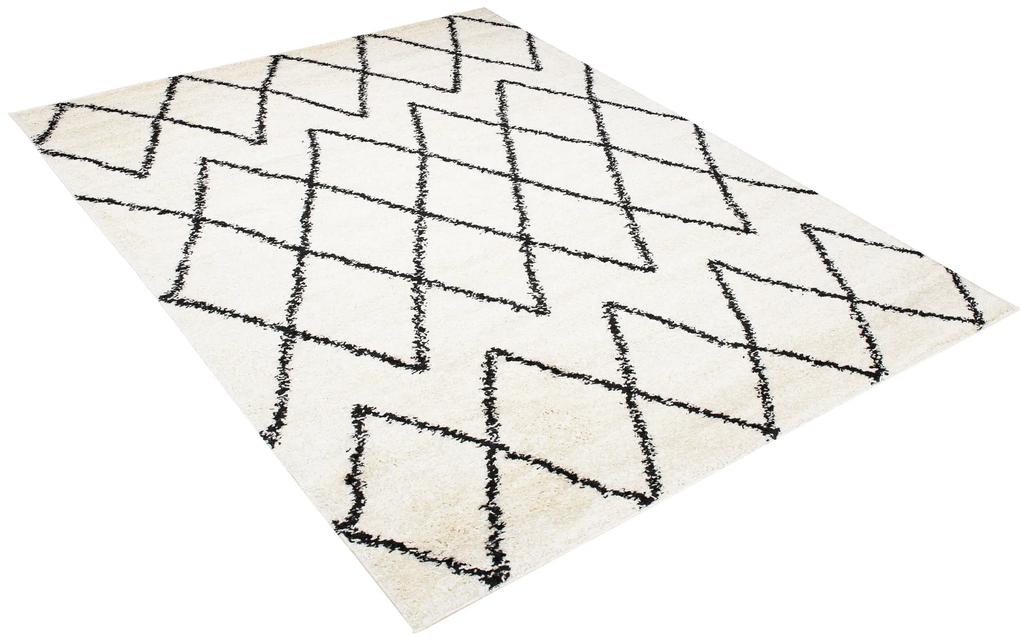 Dizajnový koberec OSLO - SHAGGY ROZMERY: 80x150