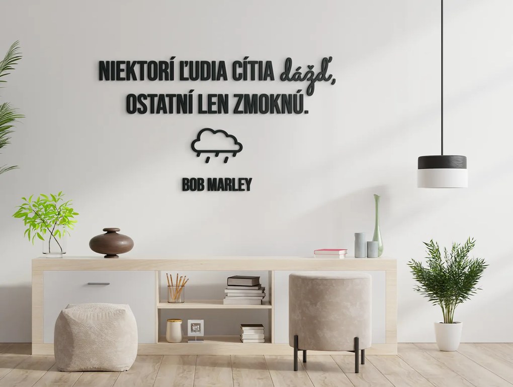drevko Drevený citát Niektorí ľudia cítia dážď Rozmer obrazu: 49 x 85,5 cm, Farba dekorácie: Čierna