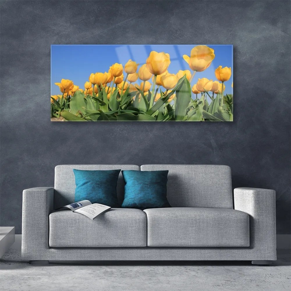 Obraz plexi Tulipány kvety rastlina 125x50 cm