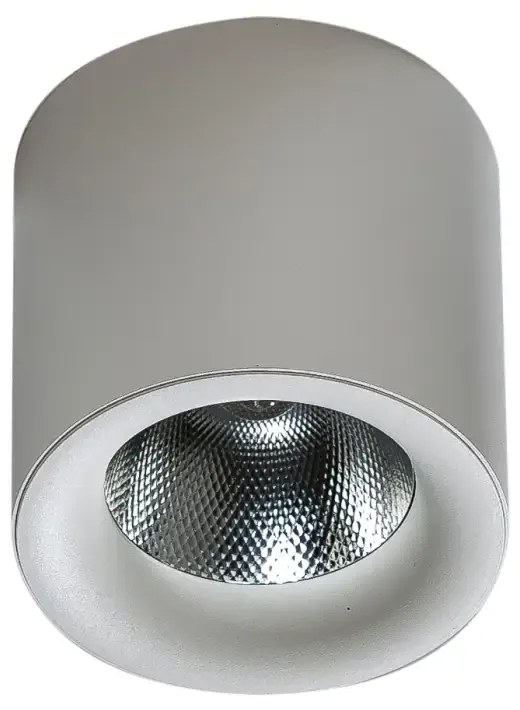 LED bodové svetlo Mane 20W Dimm biele