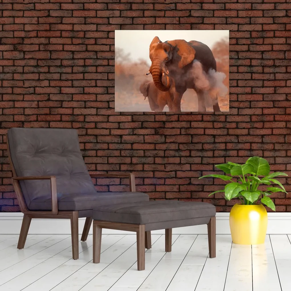 Sklenený obraz - Veľký slon africký (70x50 cm)