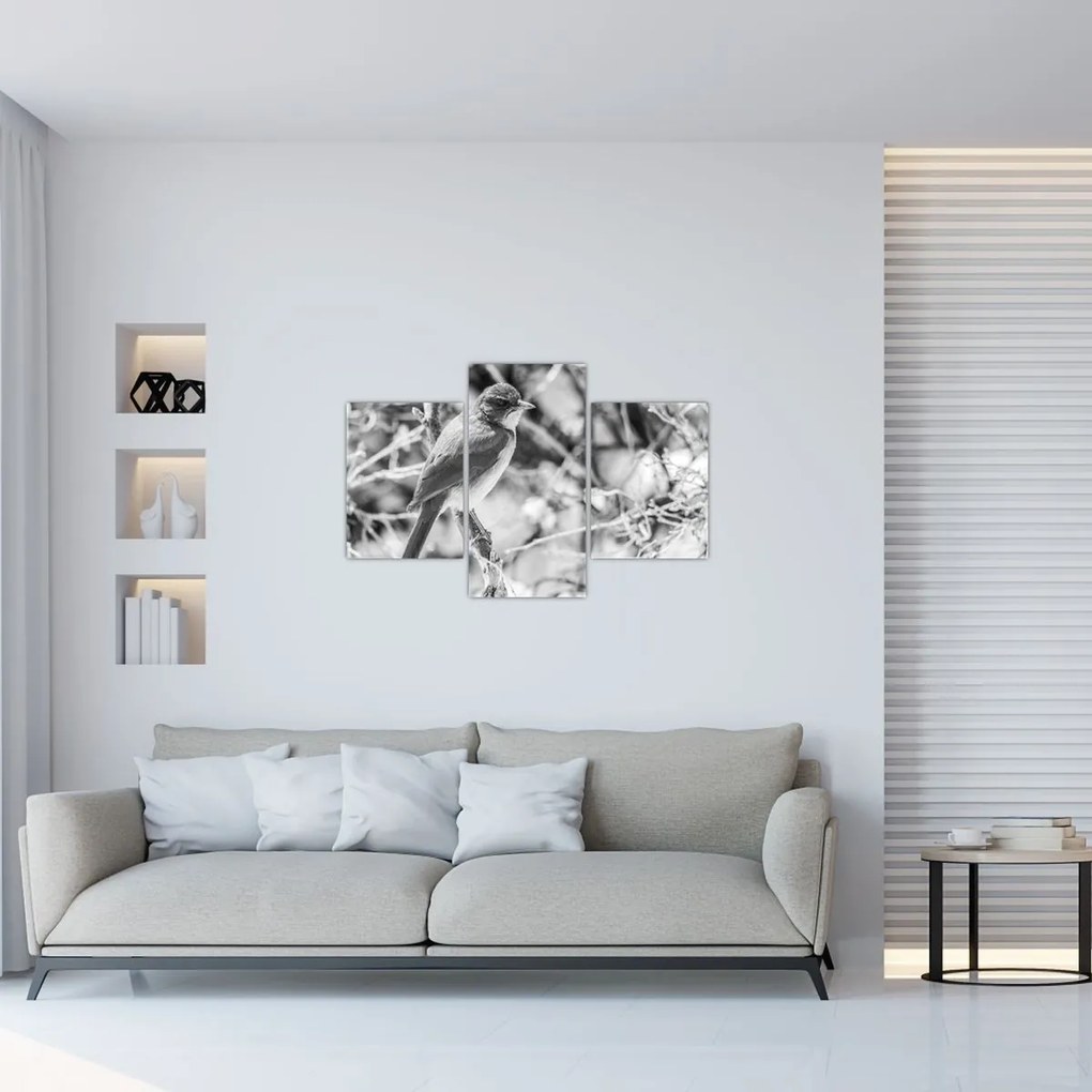 Obraz - Modrý vták v zime (90x60 cm)
