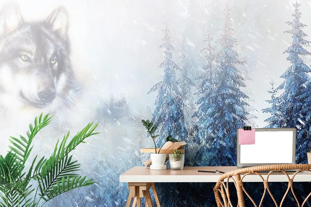 Samolepiaca tapeta maľba vlka v zimnej prírode
