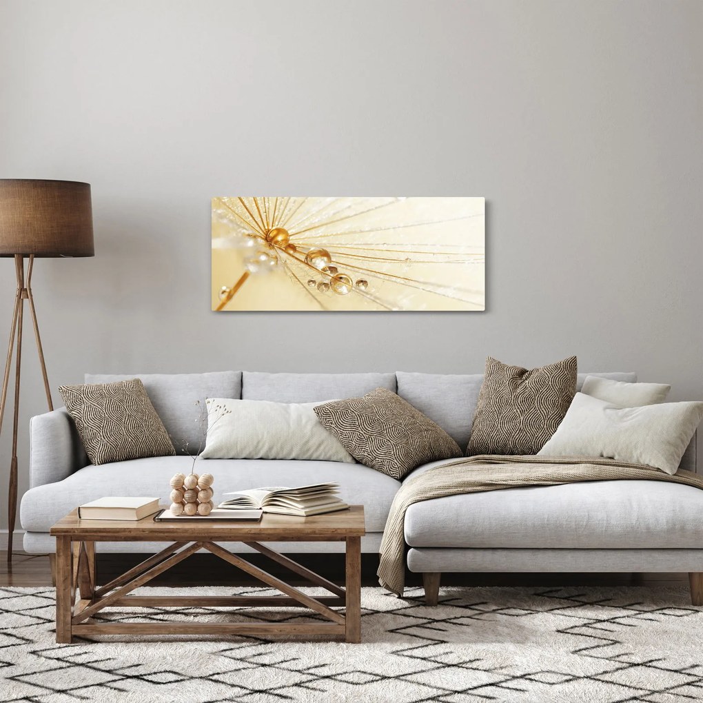 Obraz - Makro fotografie púpavy (120x50 cm)