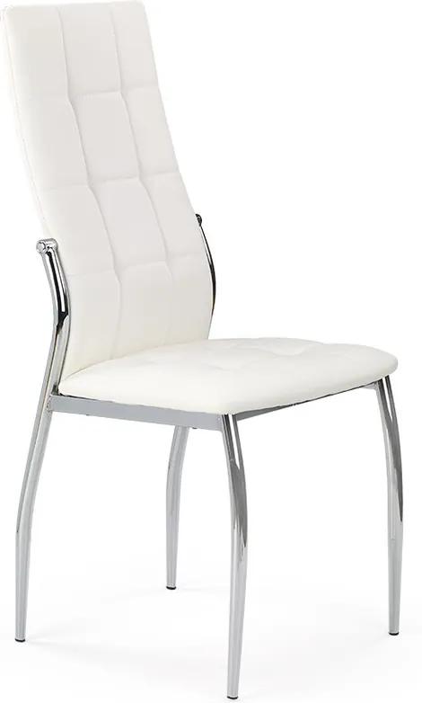 DREVONA Jedálenská stolička biela K209