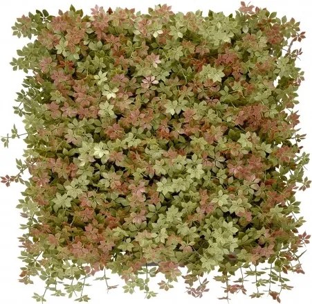 MI Panel farebných rastlín JIAOGULAN (50x50cm)