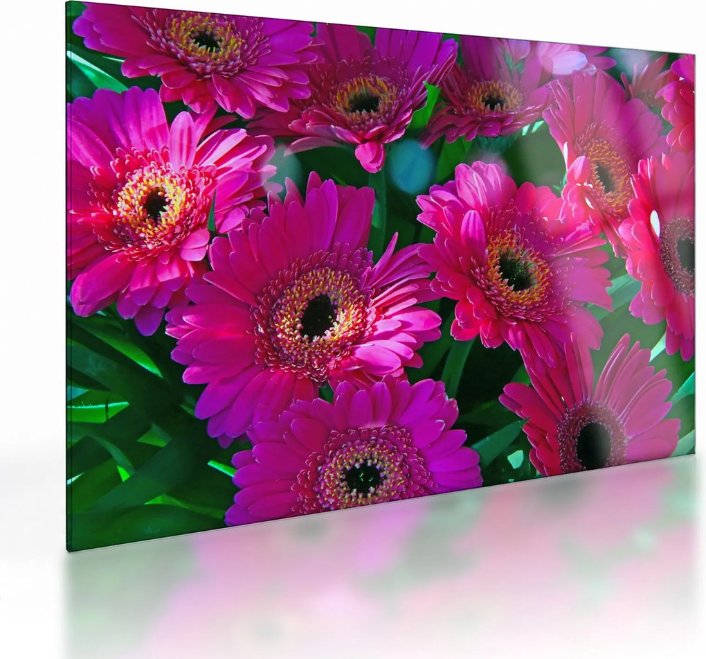 Sklenený obraz - kvety (70x50 cm)