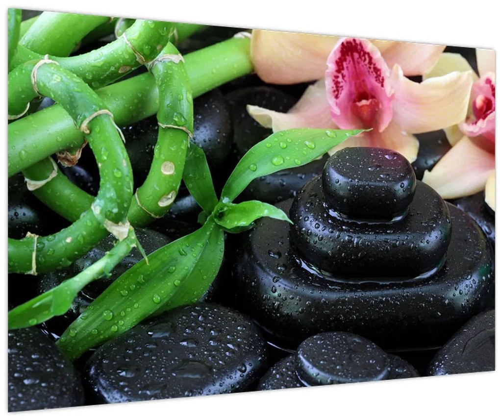 Obraz - Kamene a orchidey (90x60 cm)