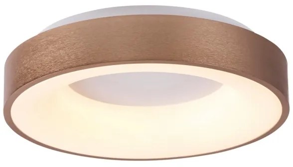 Rabalux 5053 - LED Stropné svietidlo CARMELA LED/50W/230V