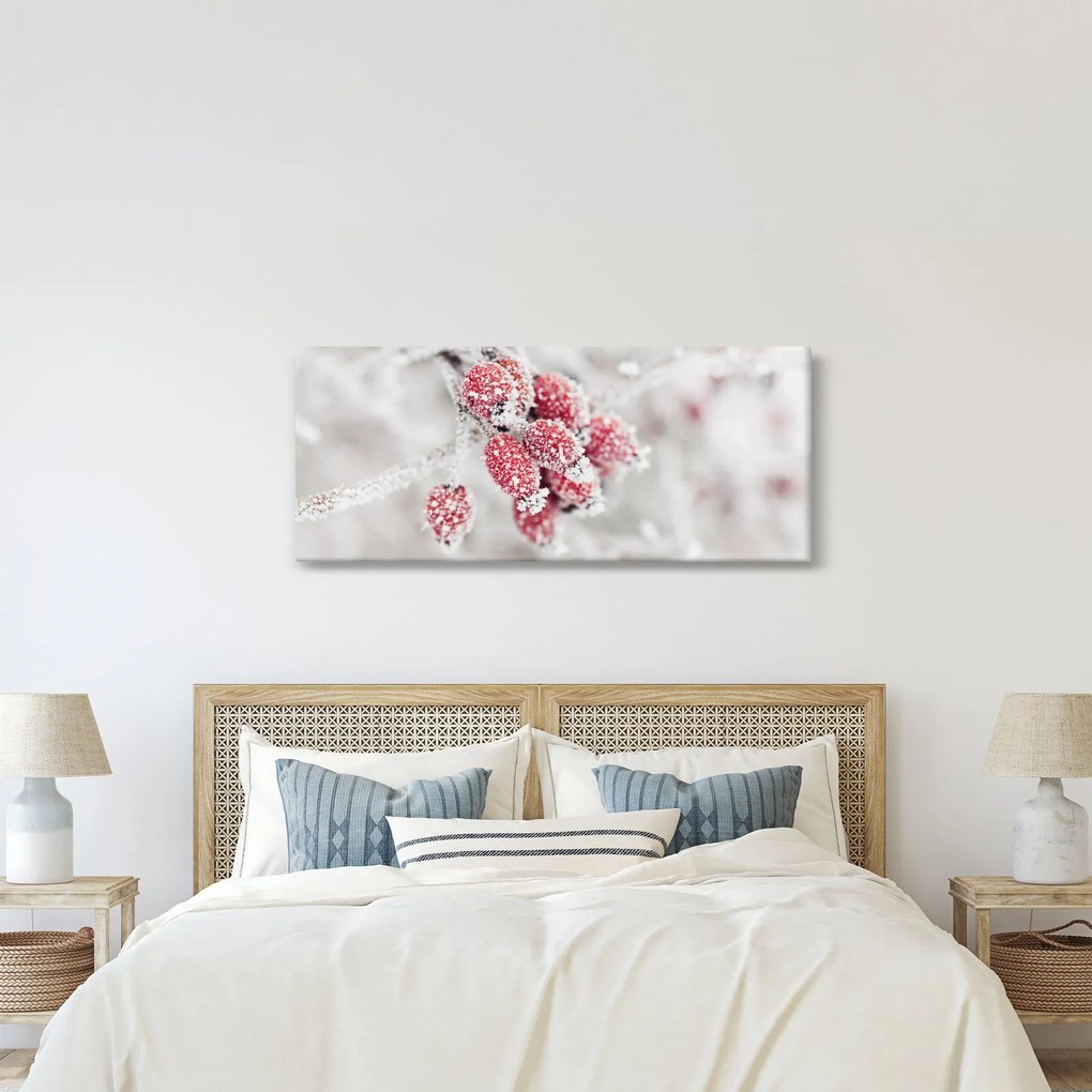 Obraz - Zamrznuté plody (120x50 cm)