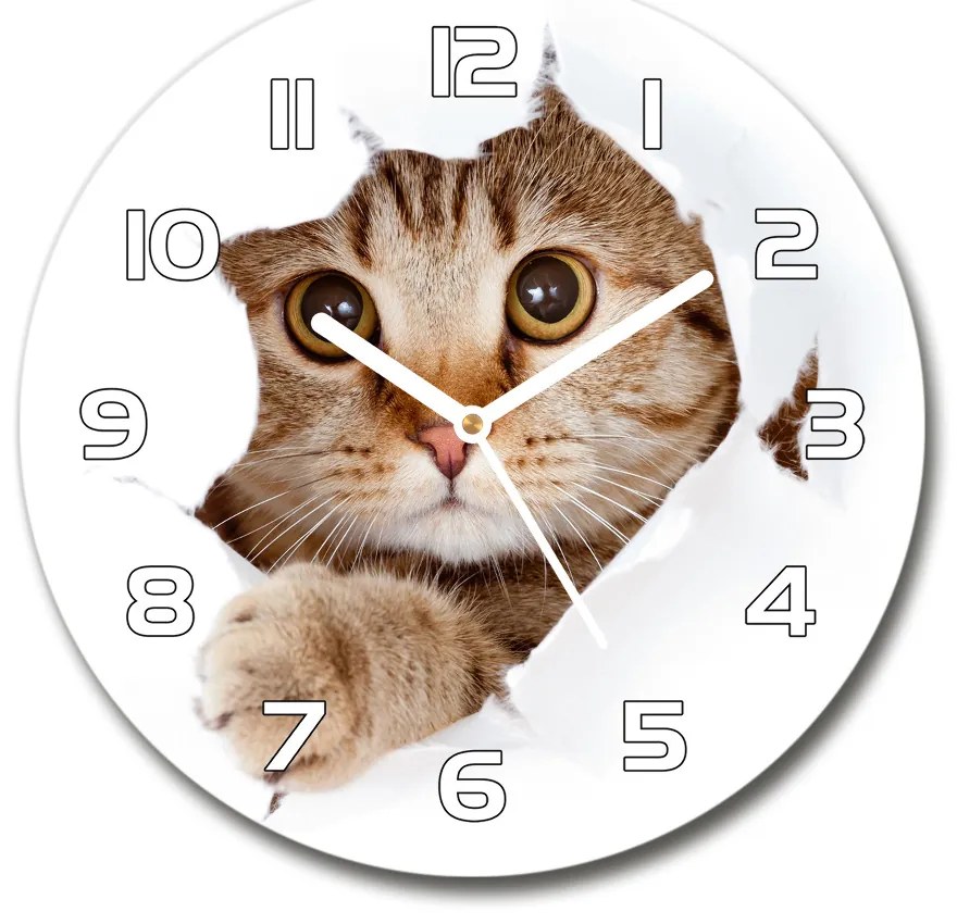 Sklenené nástenné hodiny okrúhle Mačka pl_zso_30_f_35664648