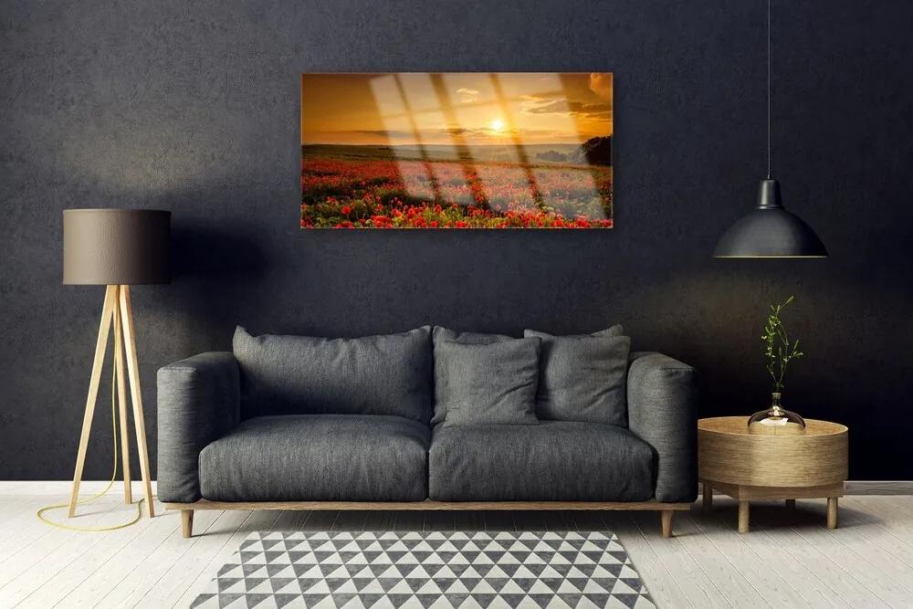 Skleneny obraz Pole maky západ slnka lúka 125x50 cm