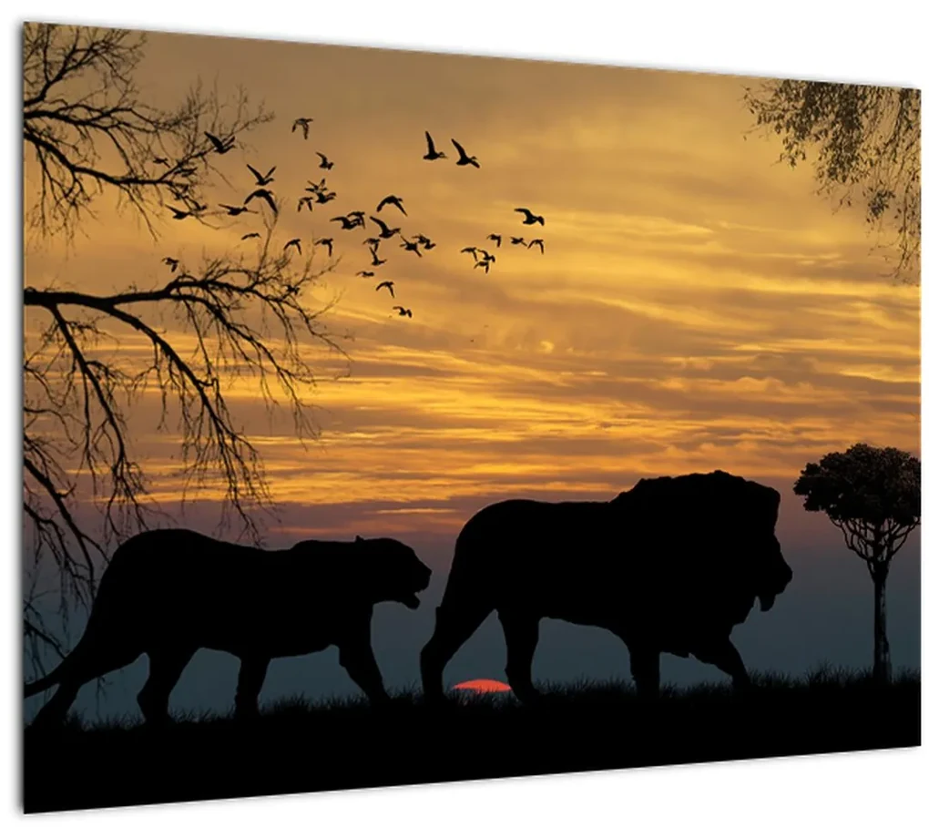 Sklenený obraz Safari (70x50 cm)