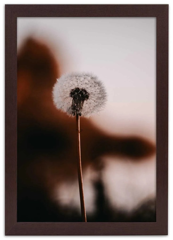Gario Plagát Osamelá rybka Farba rámu: Bez rámu, Rozmery: 40 x 60 cm