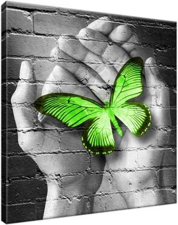 Obraz na plátne Zelený motýľ na dlaniach 30x30cm 2362A_1AI